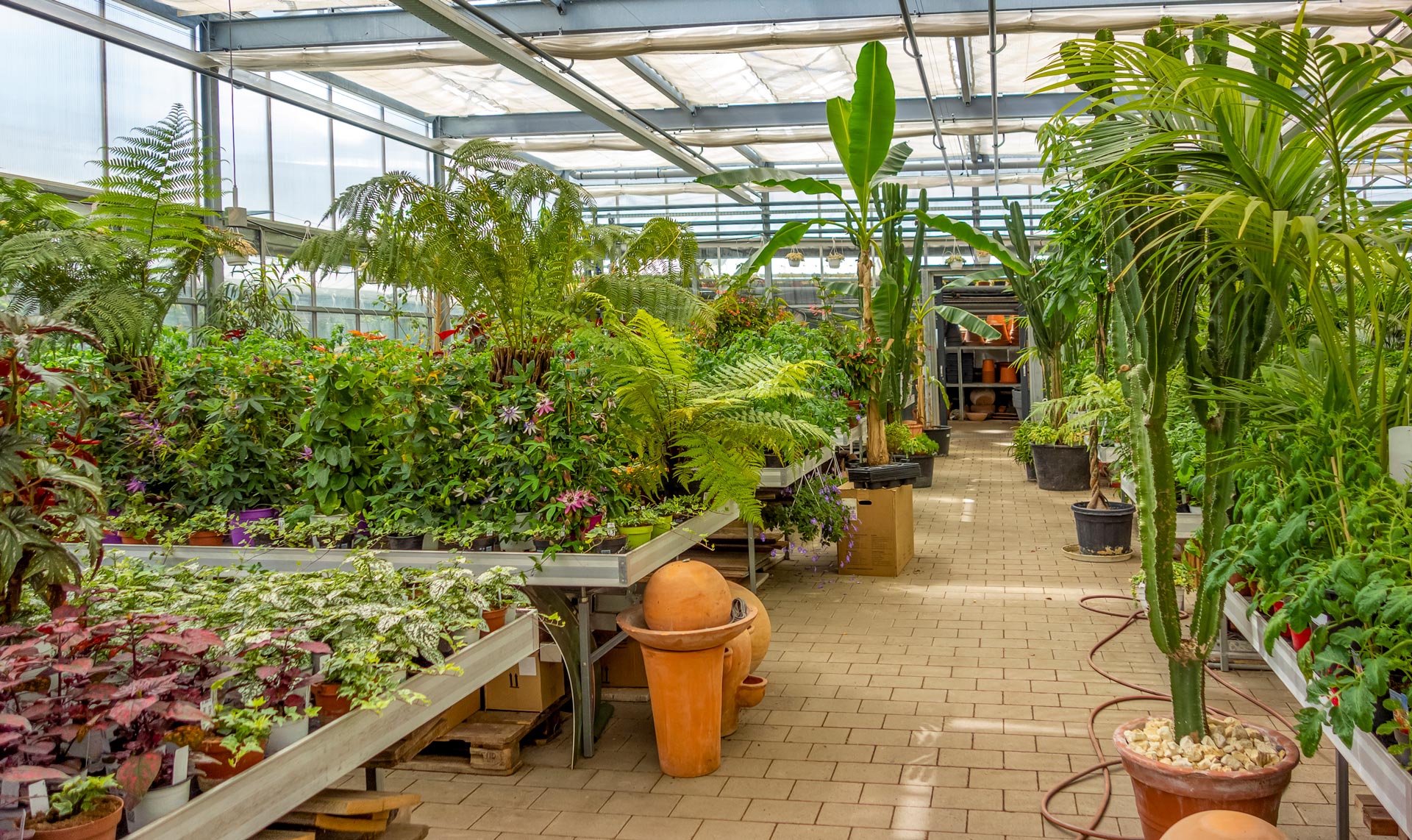 PaRC - Greenhouse