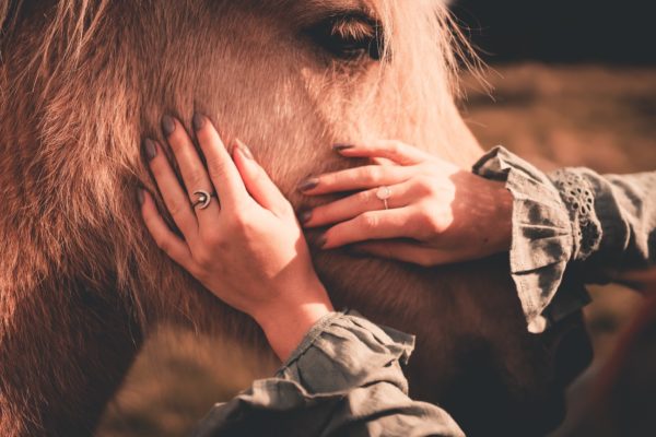 What Is Equine Therapy and How Does It Benefit Addiction Recovery?
